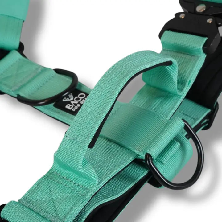 Hundsele BACO Mint 2.0