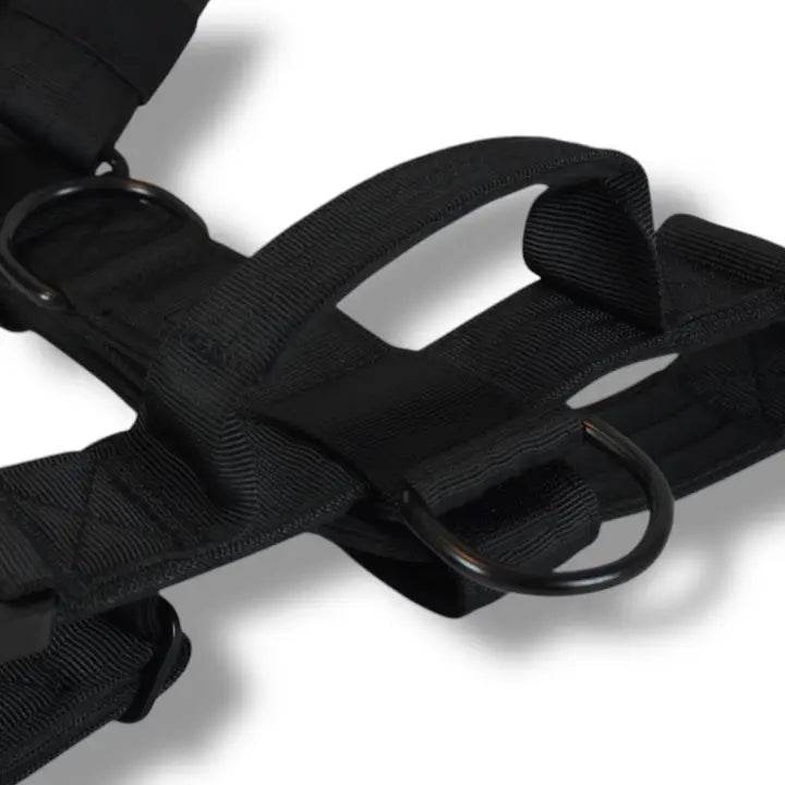 Hundsele BACO Black 2.0