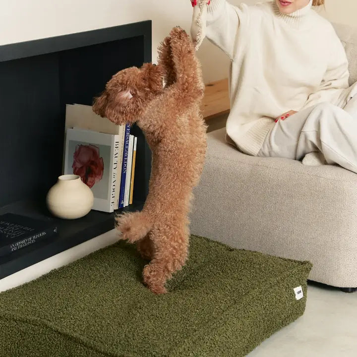 Cuadra Hundbädd i grönt fleece