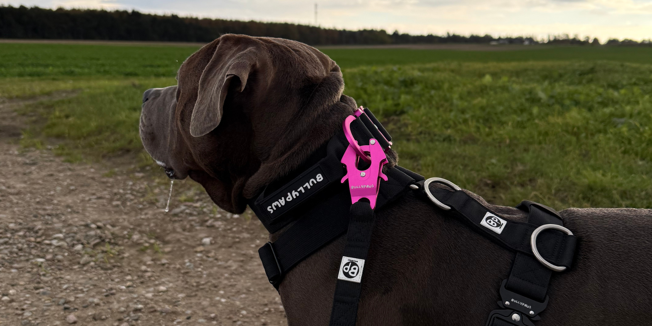 custom-slideshow-image-desktop-block_3Ngt9z