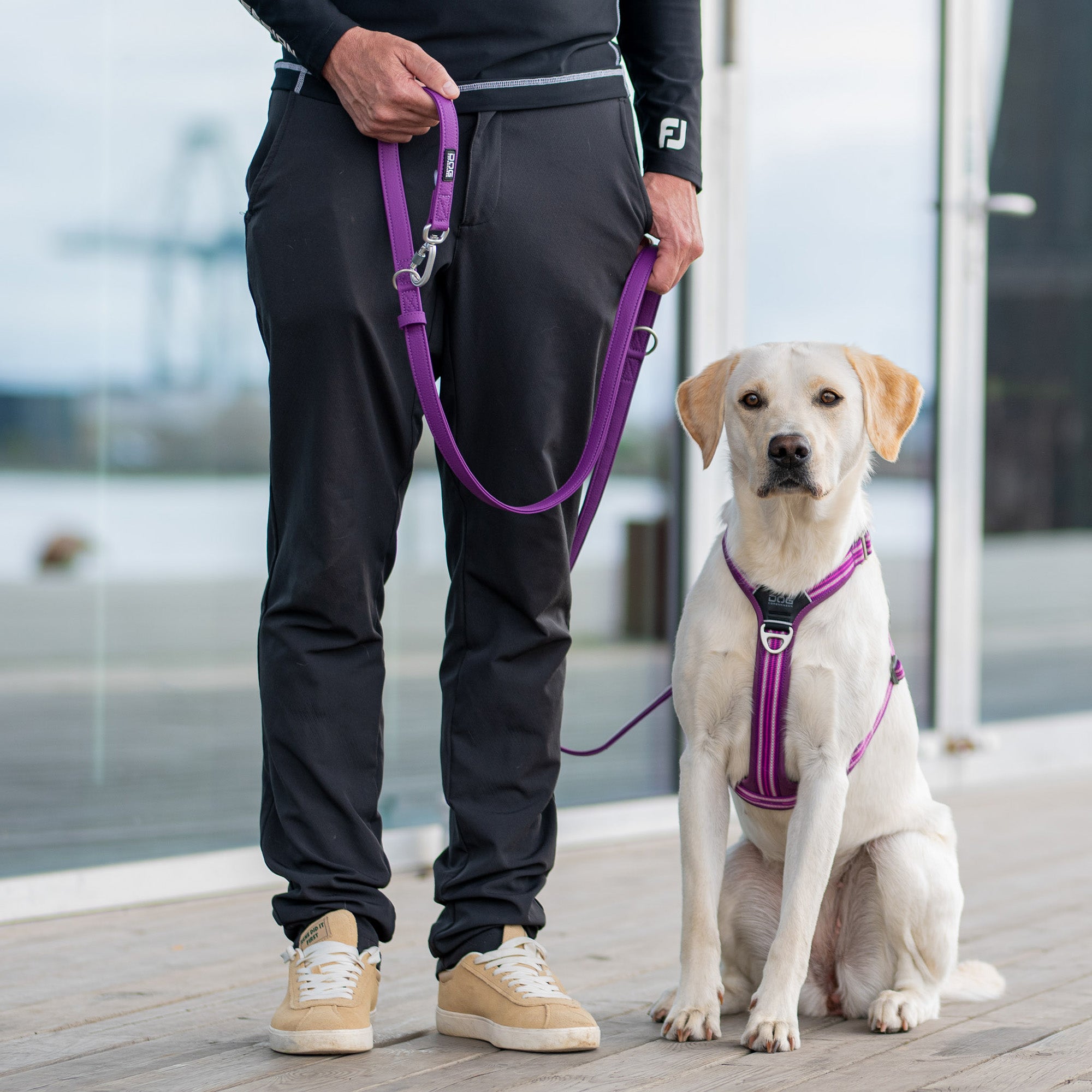 Urban Classic™ Koppel Purple Passion