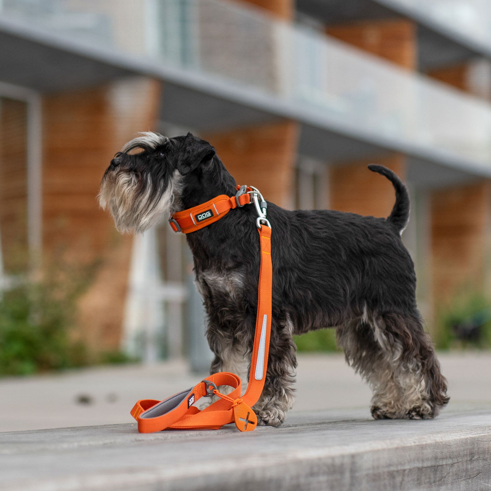 Urban Trail™ Koppel Orange Sun
