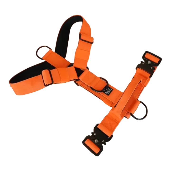 Hundsele BACO Neonorange 2.0