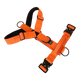 Hundsele BACO Neonorange 2.0