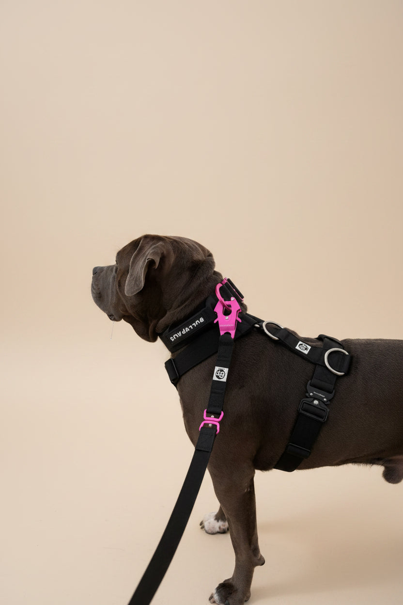 Promenadset - Rosa