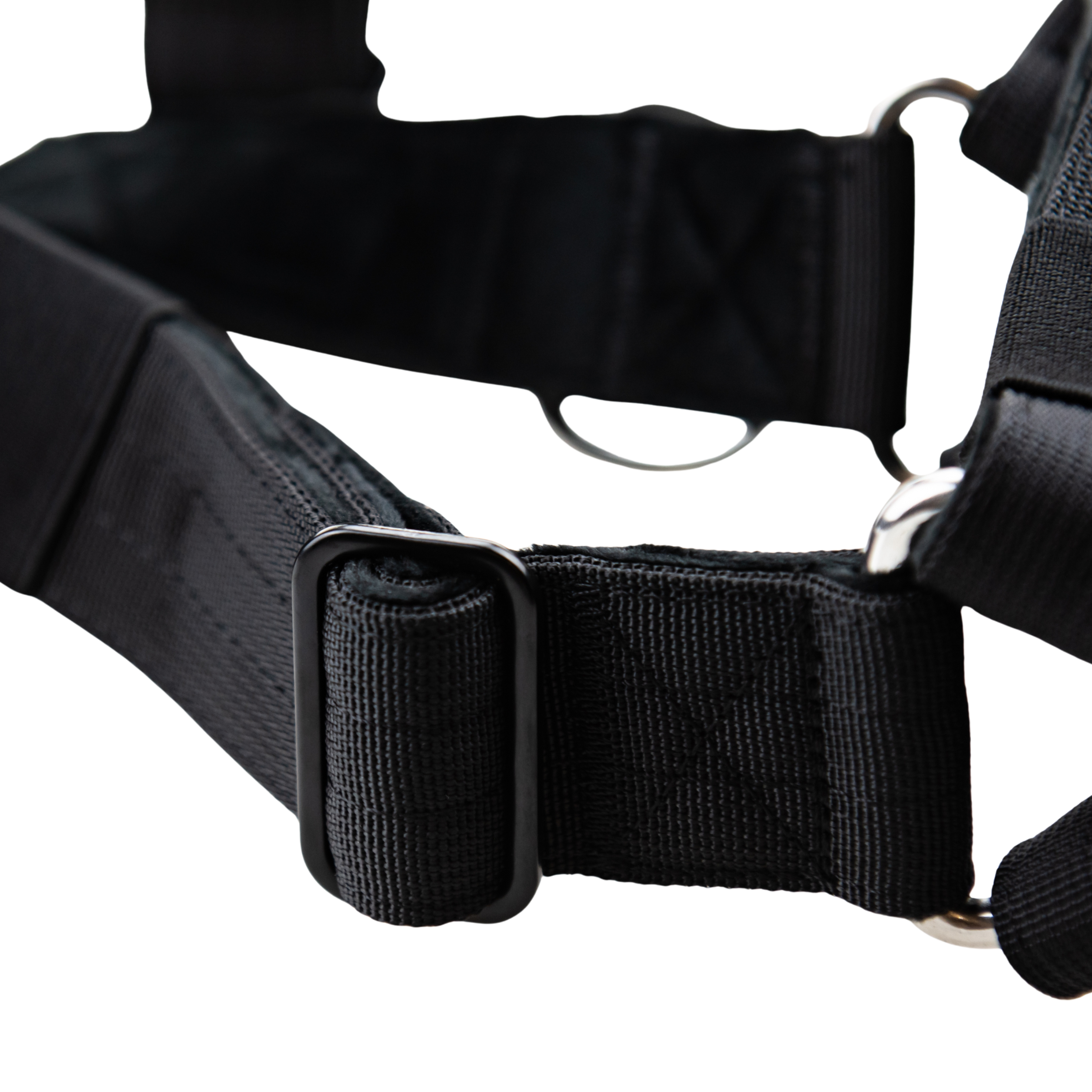 Comfort Fit Hundsele – Lätt, mjuk och bekväm